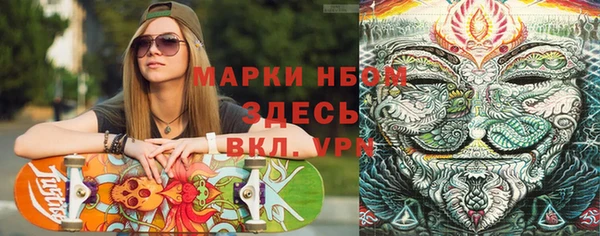 прущие крисы Елизово