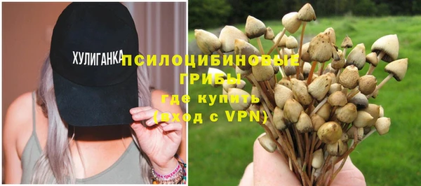 прущие крисы Елизово